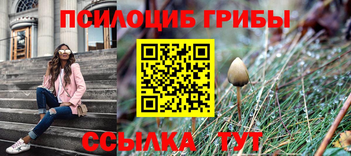 Псилоцибиновые грибы GOLDEN TEACHER Сыктывкар