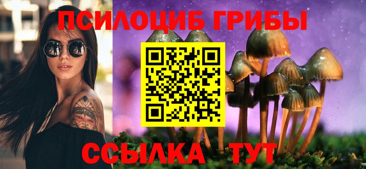 Псилоцибиновые грибы MAGIC MUSHROOMS  Галлюциногенные грибы Cubensis  Сыктывкар  Вход с VPN 